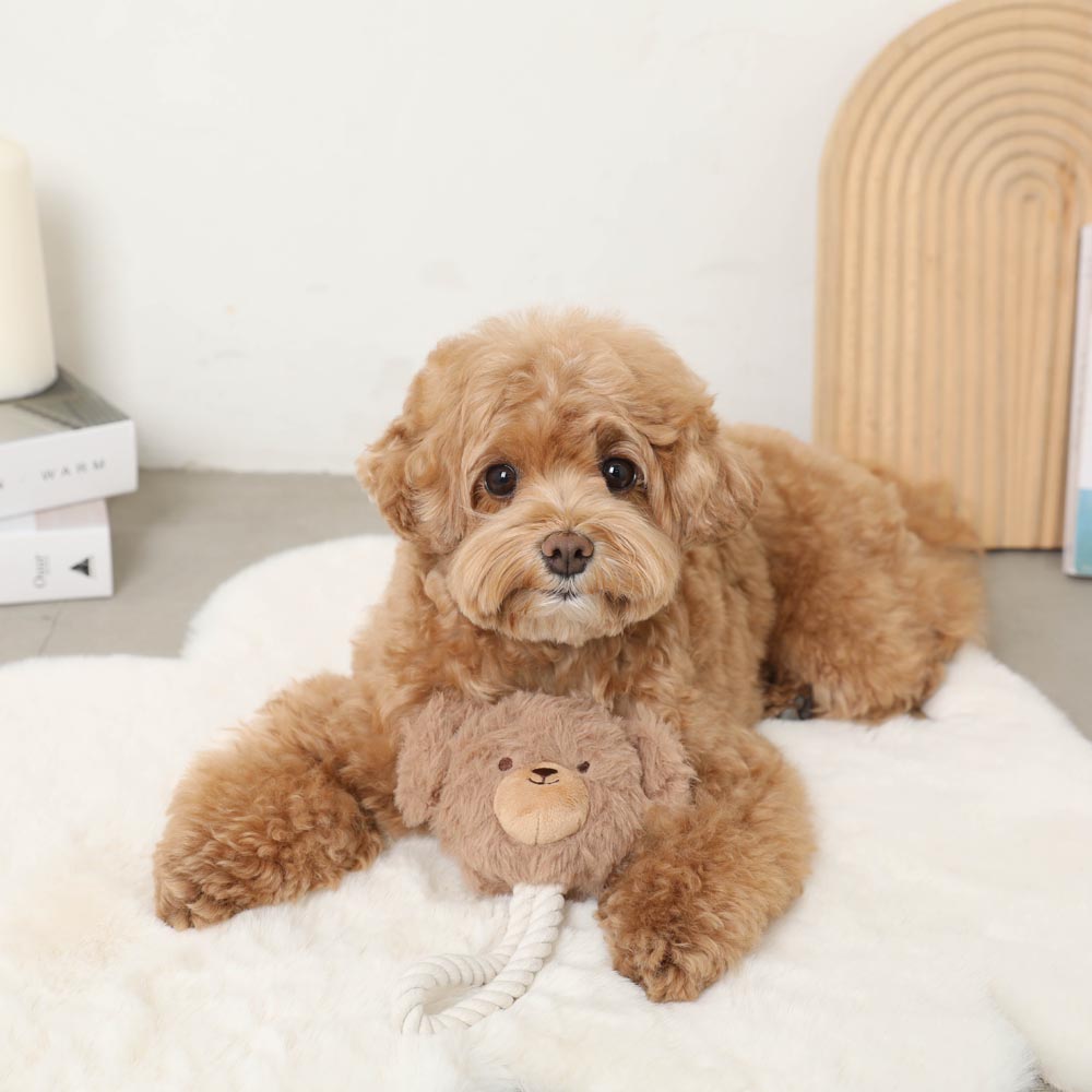 Dog Rope Stuffed Toy