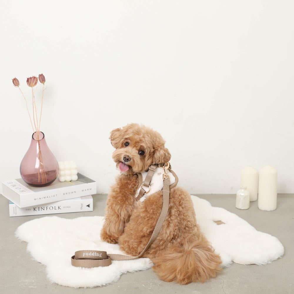 Boa Heart Embroidery Harness + Lead Set
