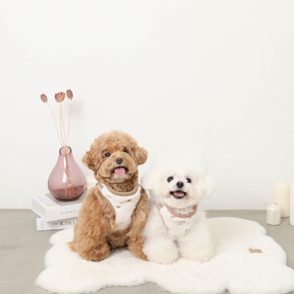 Boa Heart Embroidery Harness + Lead Set