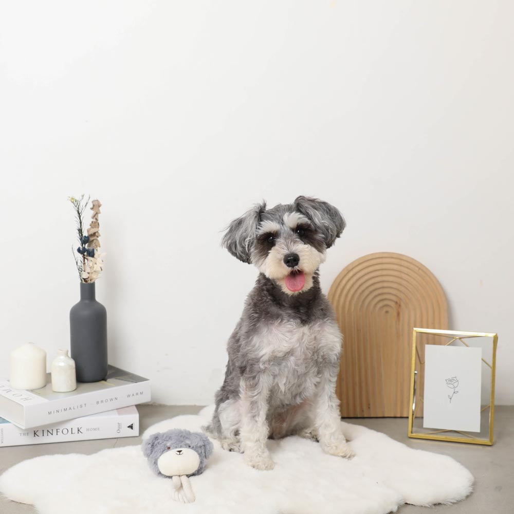 Dog Rope Stuffed Toy