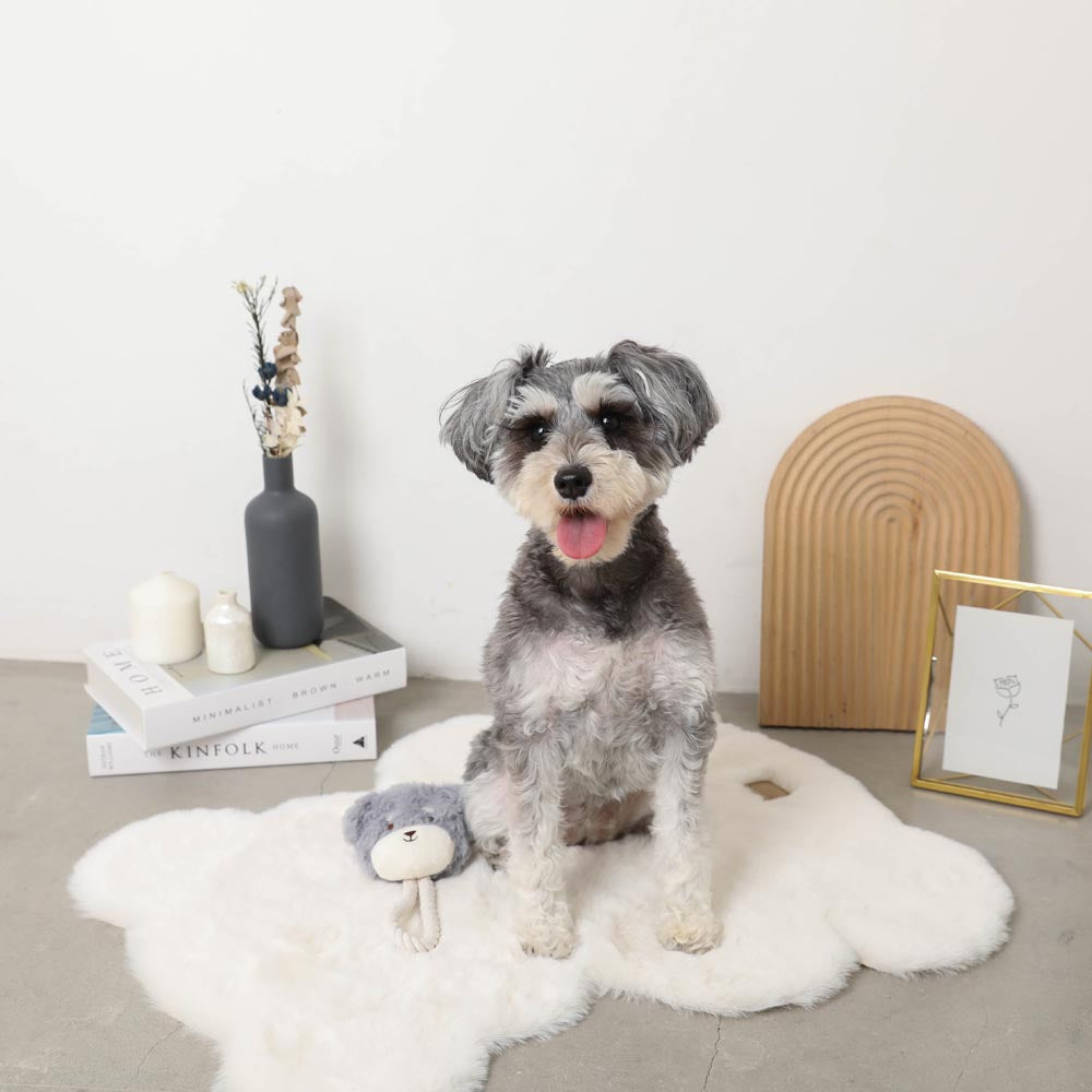 Dog Rope Stuffed Toy