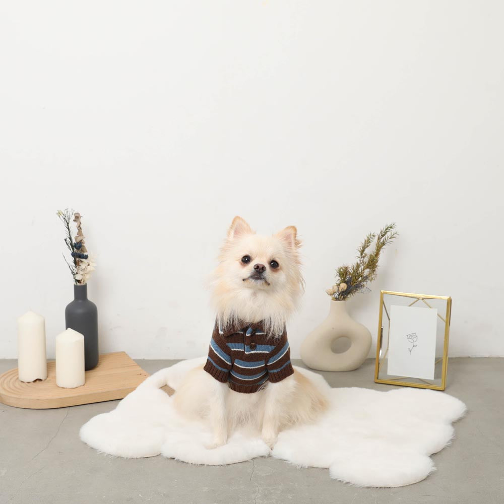 Multi-border Knit Top with Collar