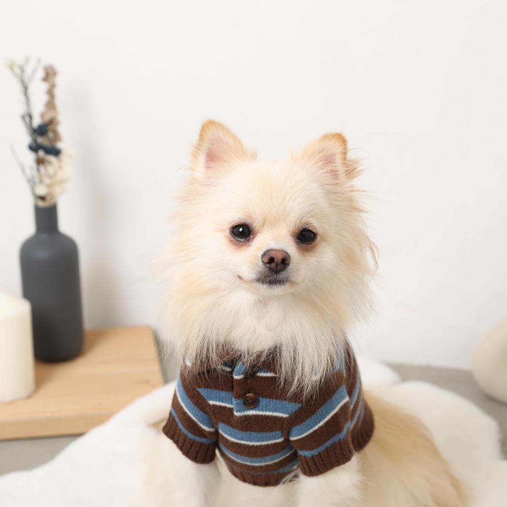 Multi-border Knit Top with Collar