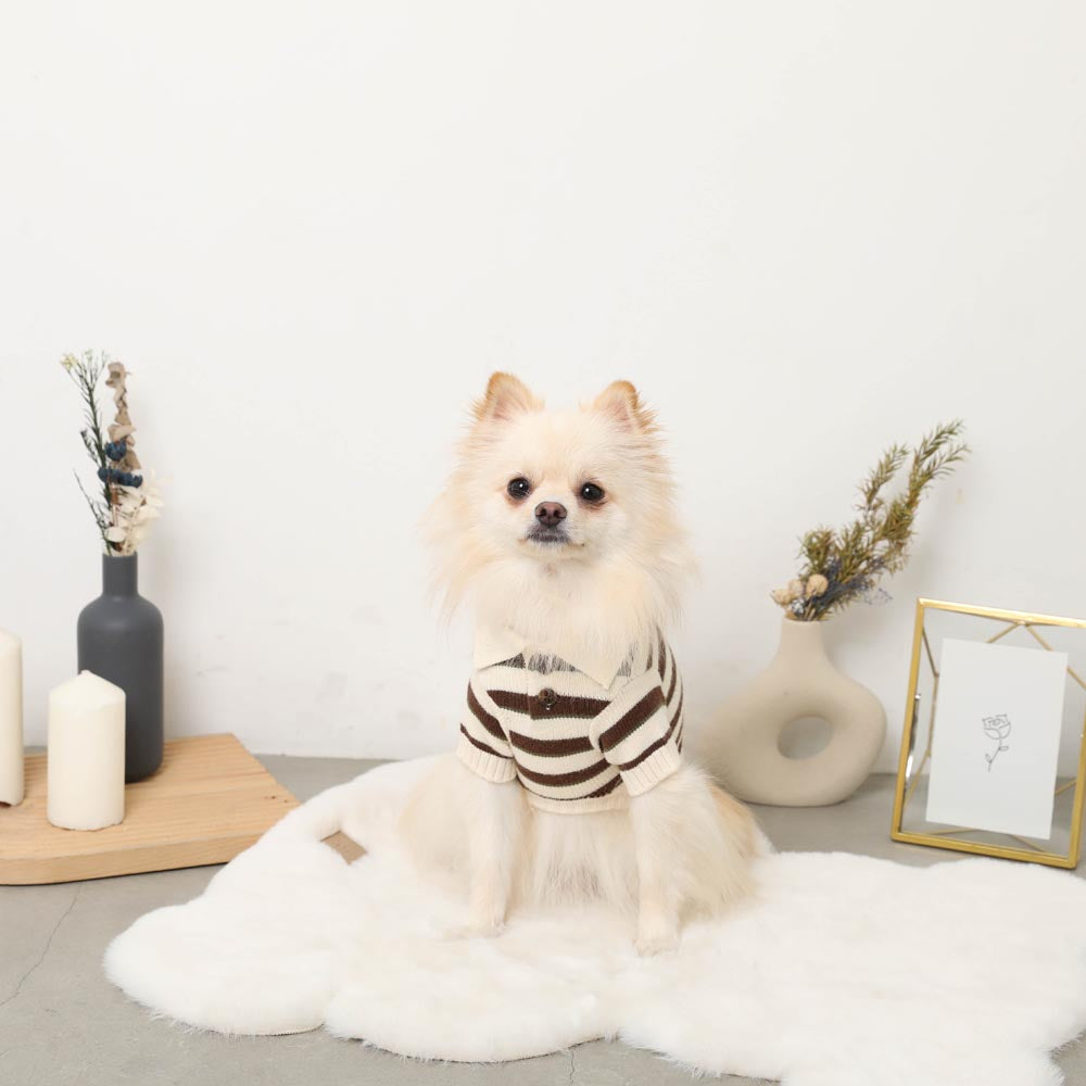 Multi-border Knit Top with Collar