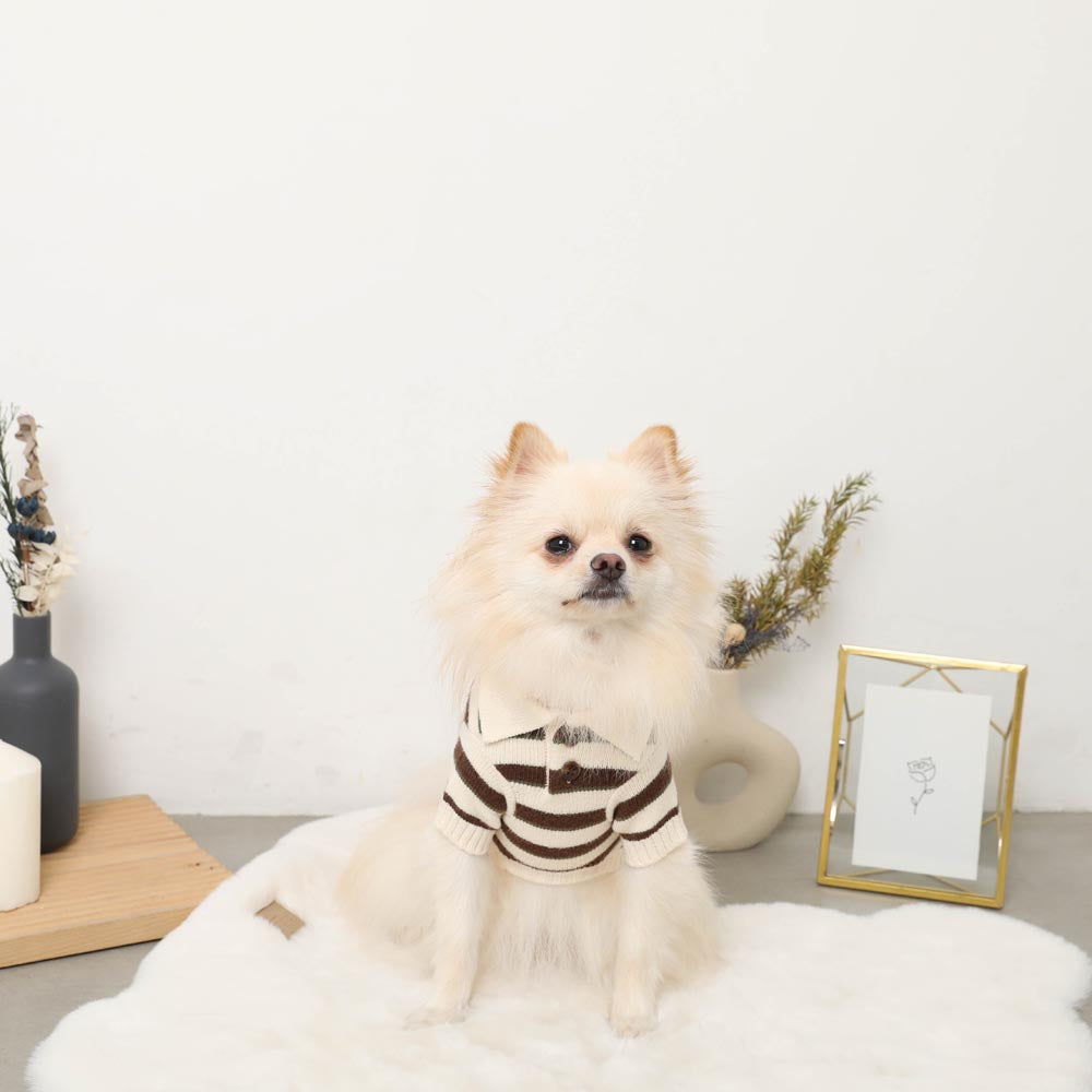 Multi-border Knit Top with Collar