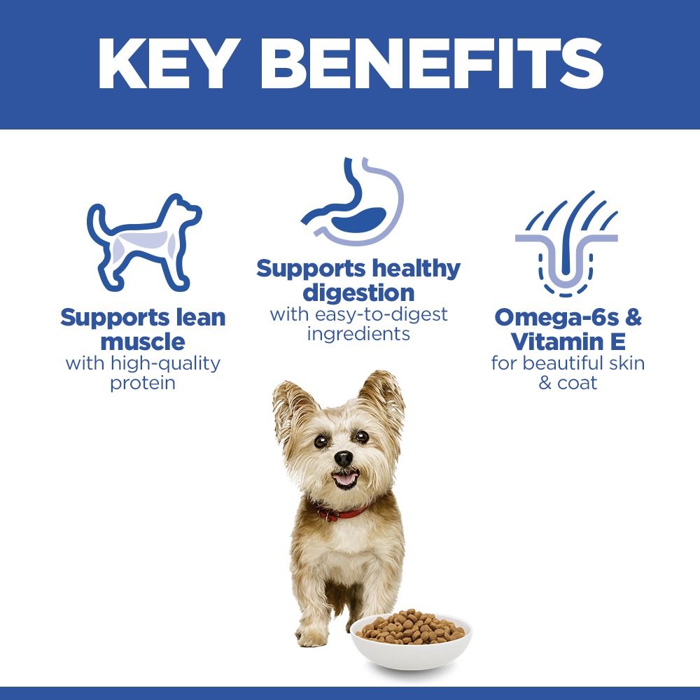 Hill's Science Plan Small & Mini Adult1-6 Dry Dog Food 6.6 lb Chicken