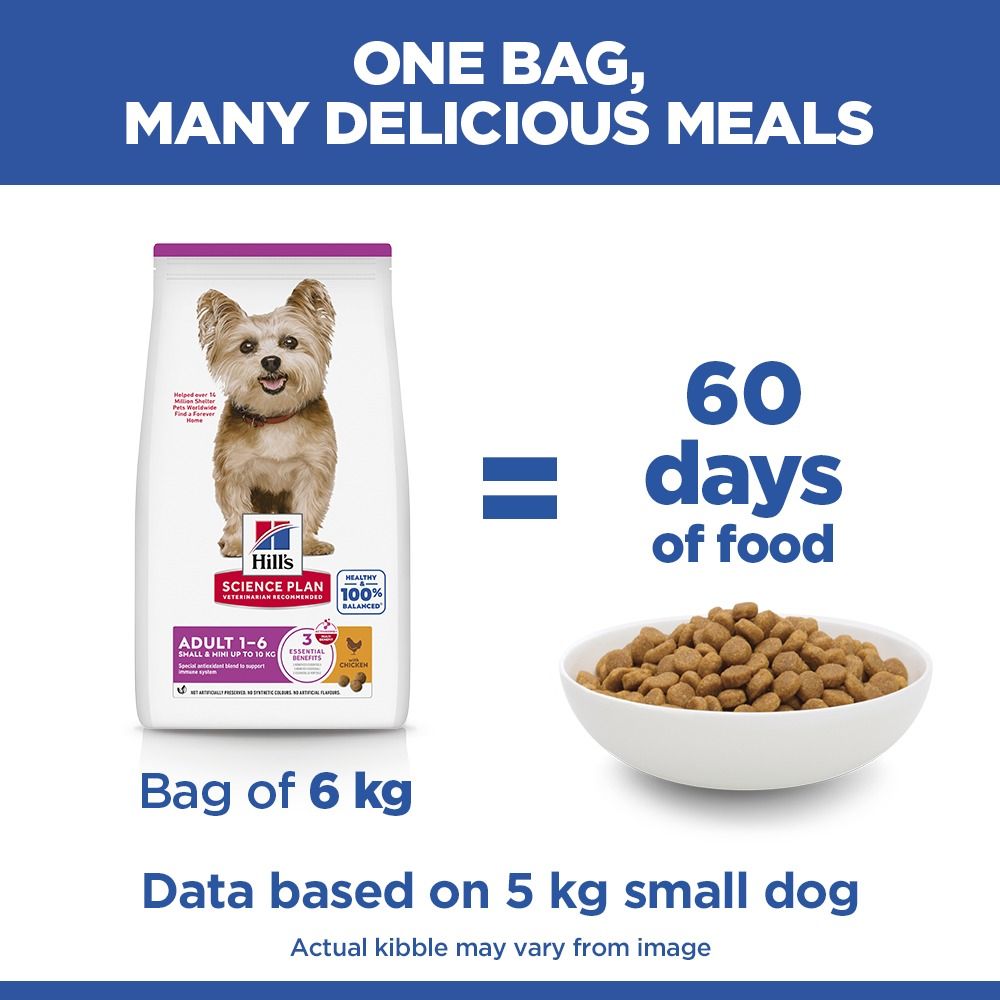 Hill's Science Plan Small & Mini Adult1-6 Dry Dog Food 6.6 lb Chicken