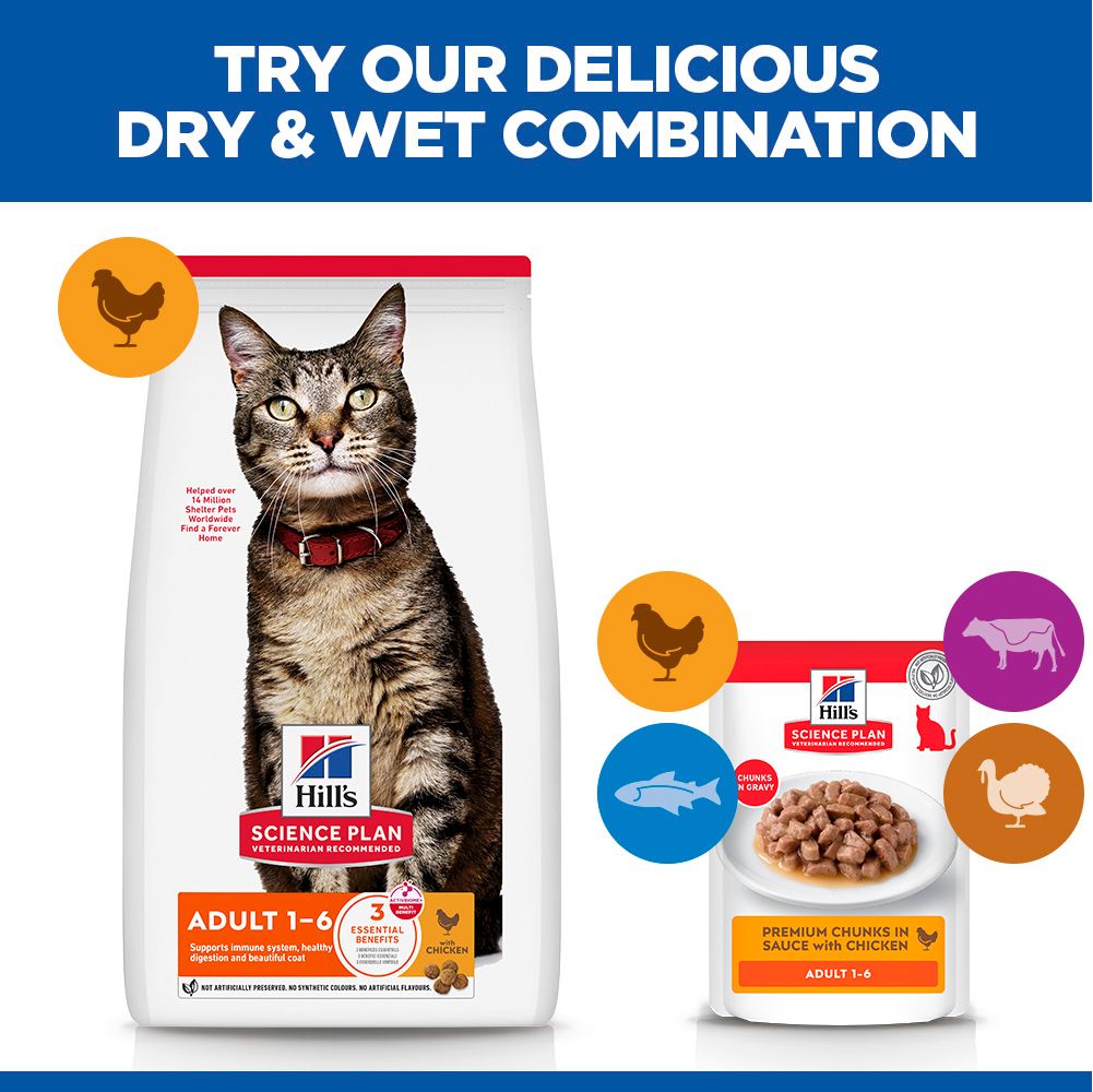 Hill's Science Plan Adult 1-6 Dry Cat Food - Chicken