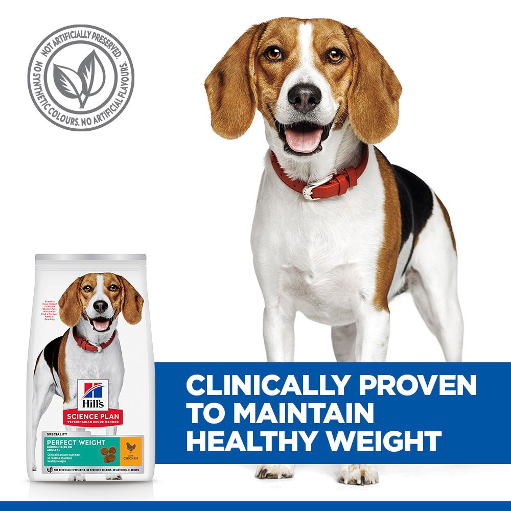 Hill's Science Plan Perfect Weight Medium Adult 1+ Dry Dog Food - Chicken
