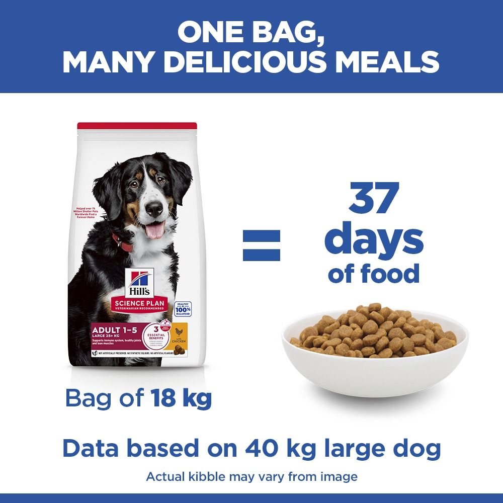 Hill's Science Diet Large Adult 1-5 Dry Dog Food - Chicken