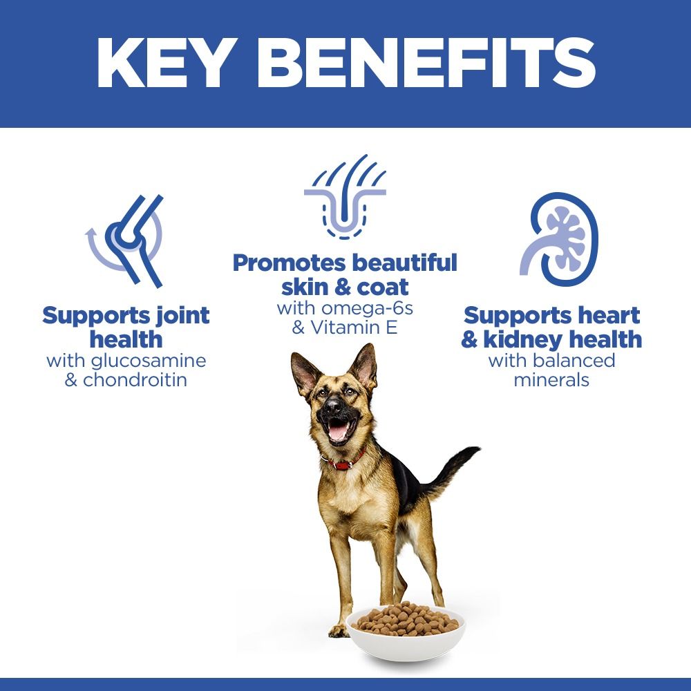Hill's Science Diet Large Mature Adult 6+ Dry Dog Food - Chicken