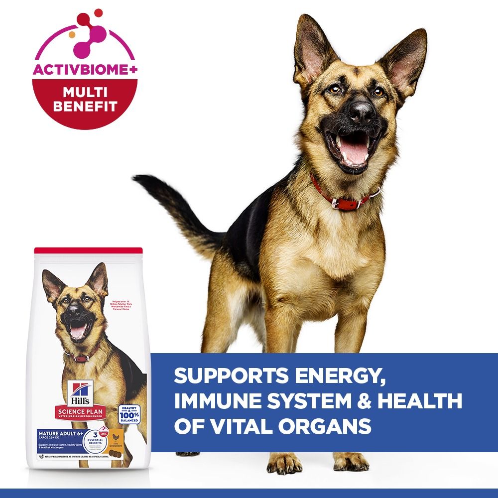 Hill's Science Diet Large Mature Adult 6+ Dry Dog Food - Chicken
