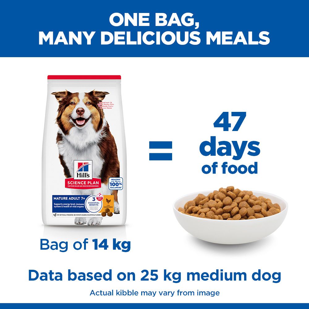 Hill's Science Diet Medium Mature Adult 7+ Dry Dog Food - Chicken