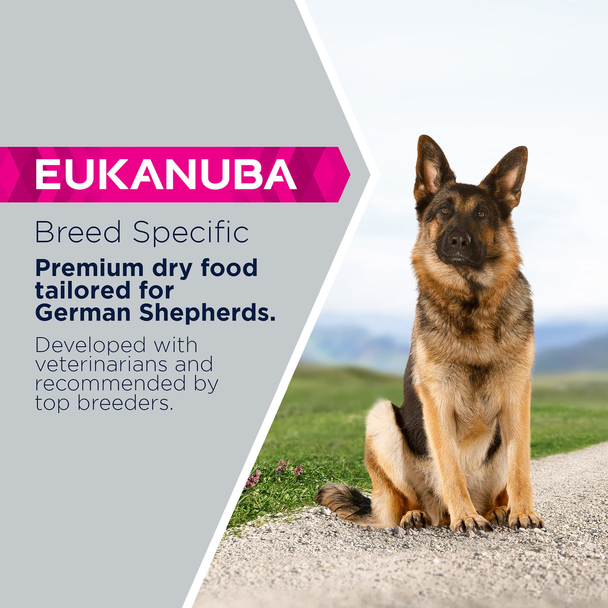 Eukanuba Breed Specific German Shepherd Adult Dry Dog Food