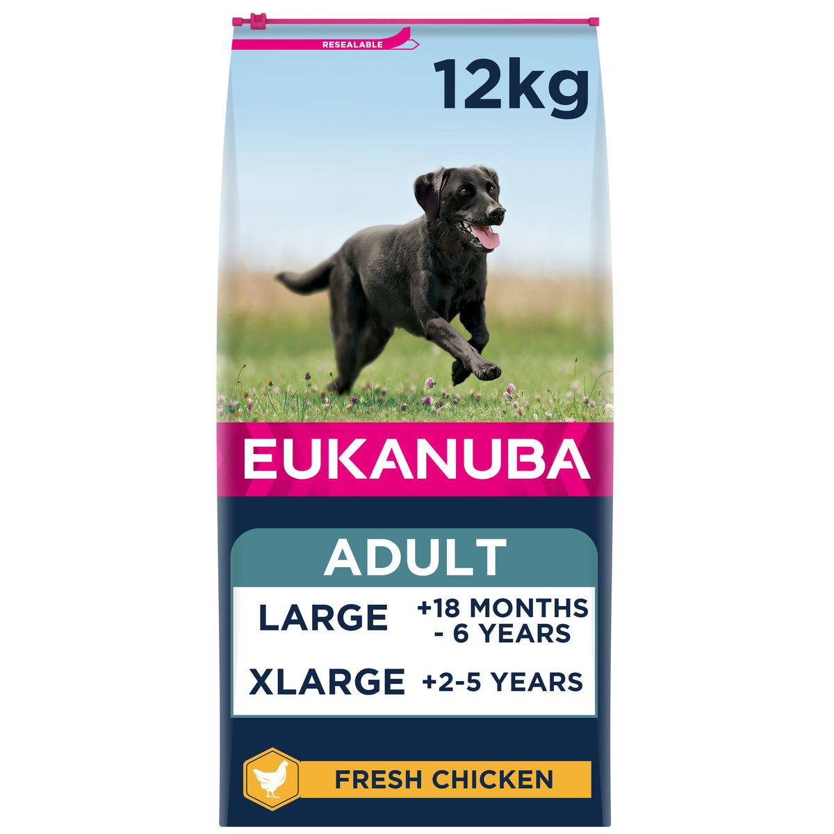Eukanuba Active Adult Large Breed Dry Dog Food - Chicken