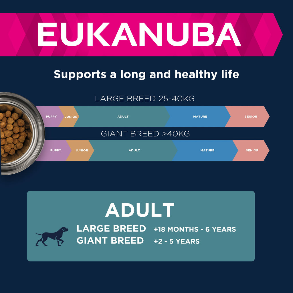 Eukanuba Active Adult Large Breed Dry Dog Food - Chicken