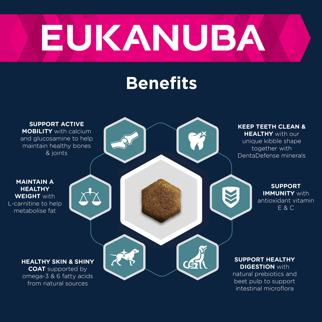 Eukanuba Active Adult Large Breed Dry Dog Food - Chicken