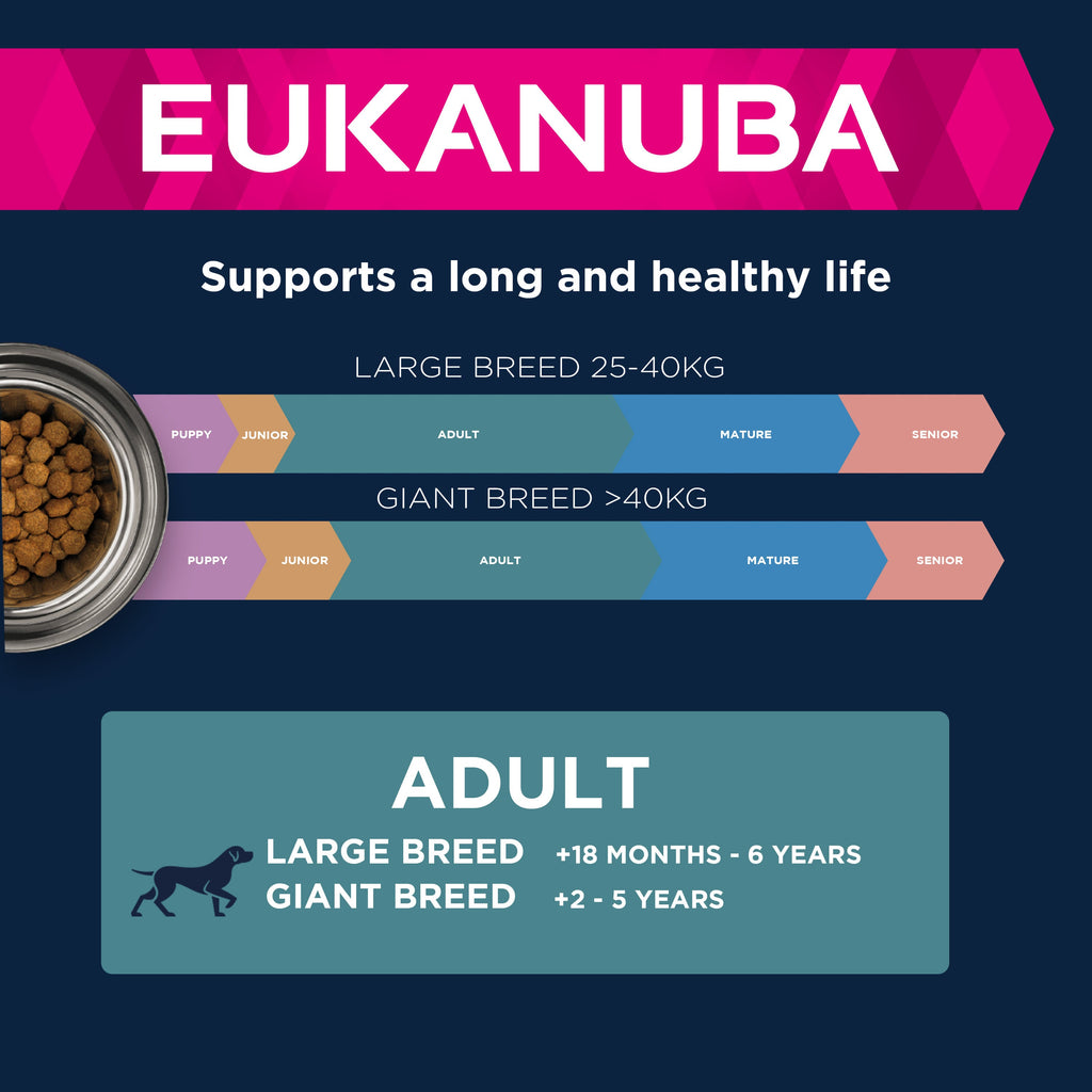 Eukanuba Large Breed Adult Dry Dog Food - Lamb & Rice