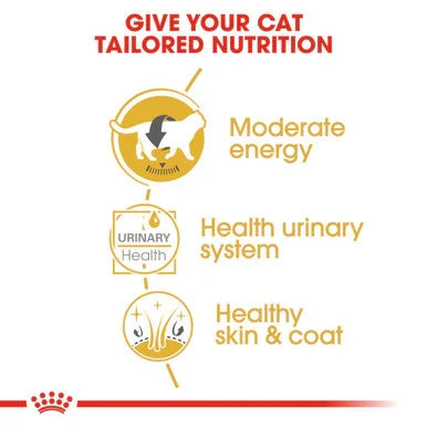 Royal Canin British Shorthair Adult Dry Cat Food