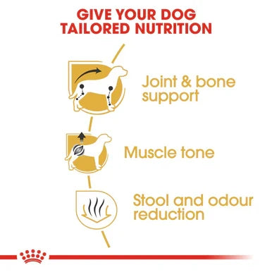 Royal Canin Dachshund Adult Dry Dog Food