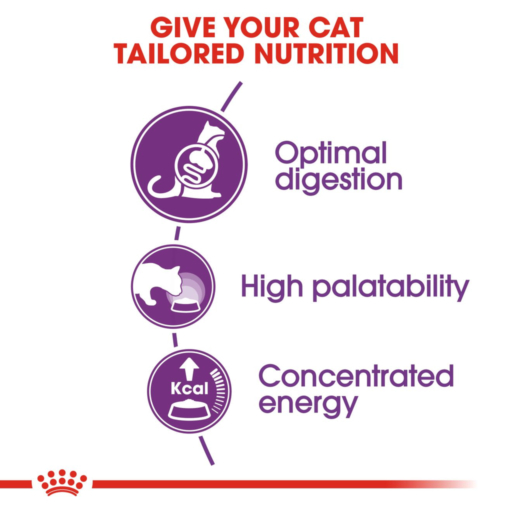 Royal Canin Sensible 33 Adult Dry Cat Food