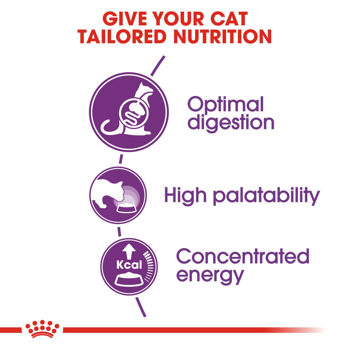 Royal Canin Sensible 33 Adult Dry Cat Food