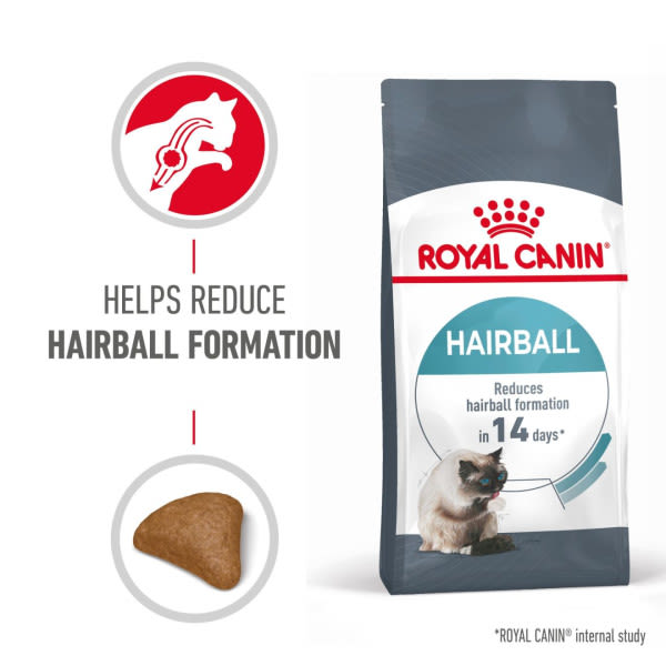 Royal Canin Intense Hairball 34 Adult Dry Cat Food