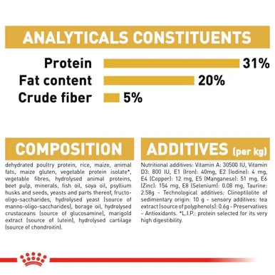 Royal Canin Maine Coon Adult Dry Cat Food