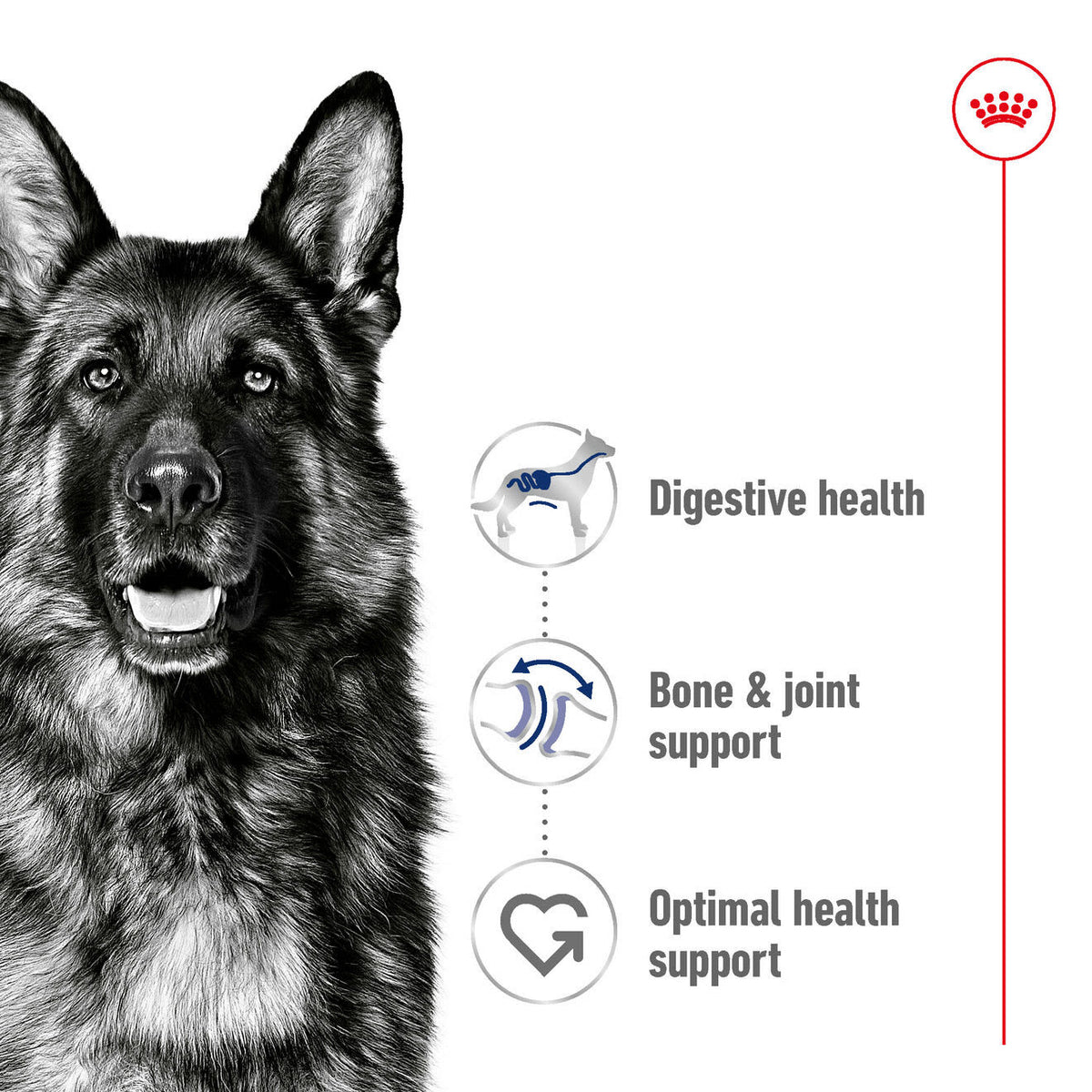Royal Canin Maxi Adult Dry Dog Food
