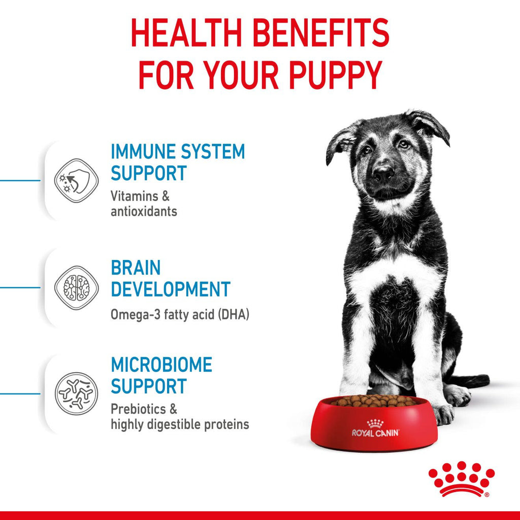 Royal Canin Puppy Maxi Dry Food
