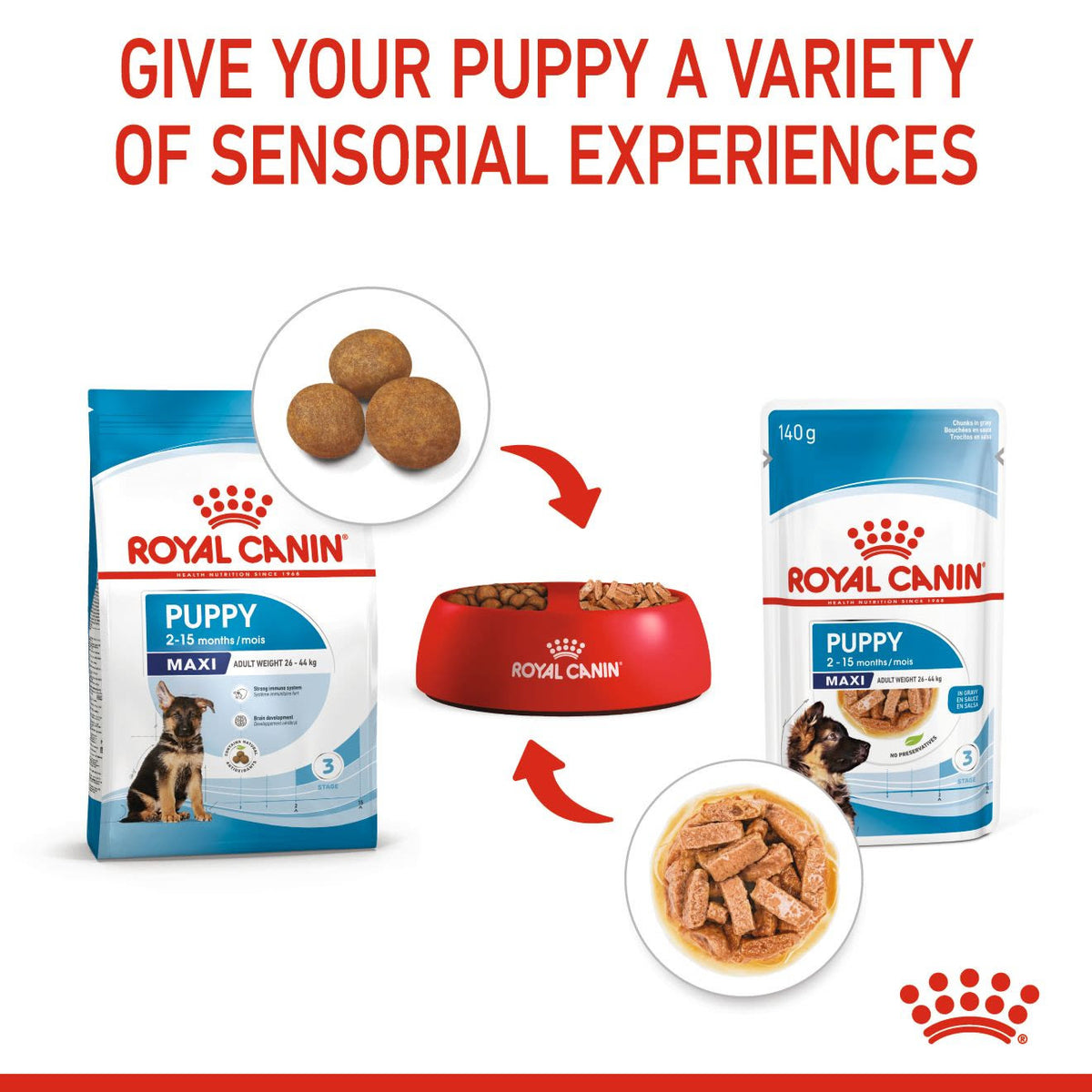 Royal Canin Puppy Maxi Dry Food