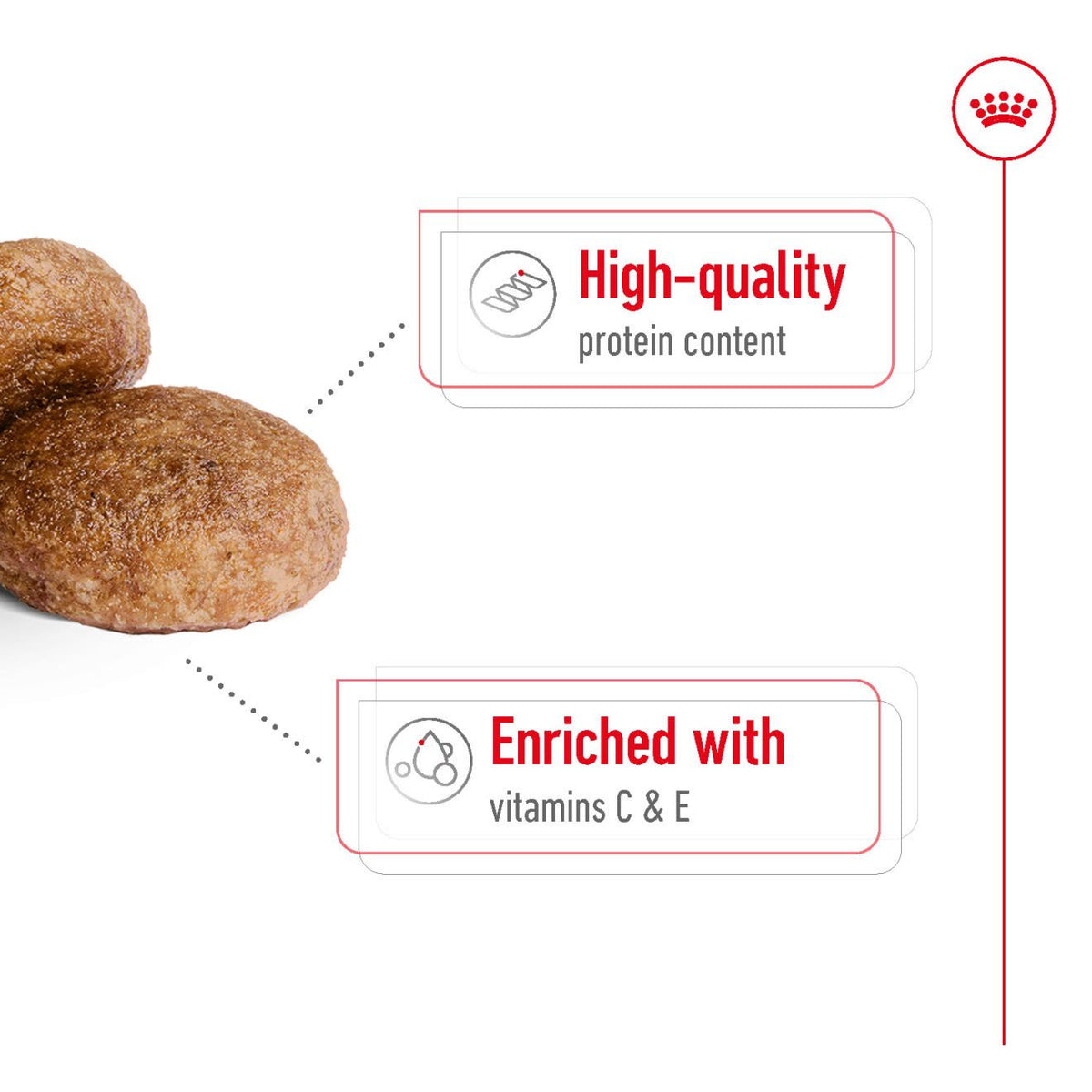 Royal Canin Medium Adult 7+ Dry Dog Food