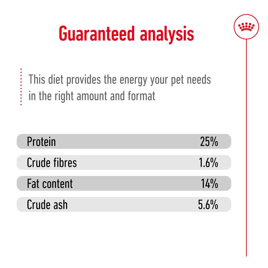 Royal Canin Medium Adult 7+ Dry Dog Food