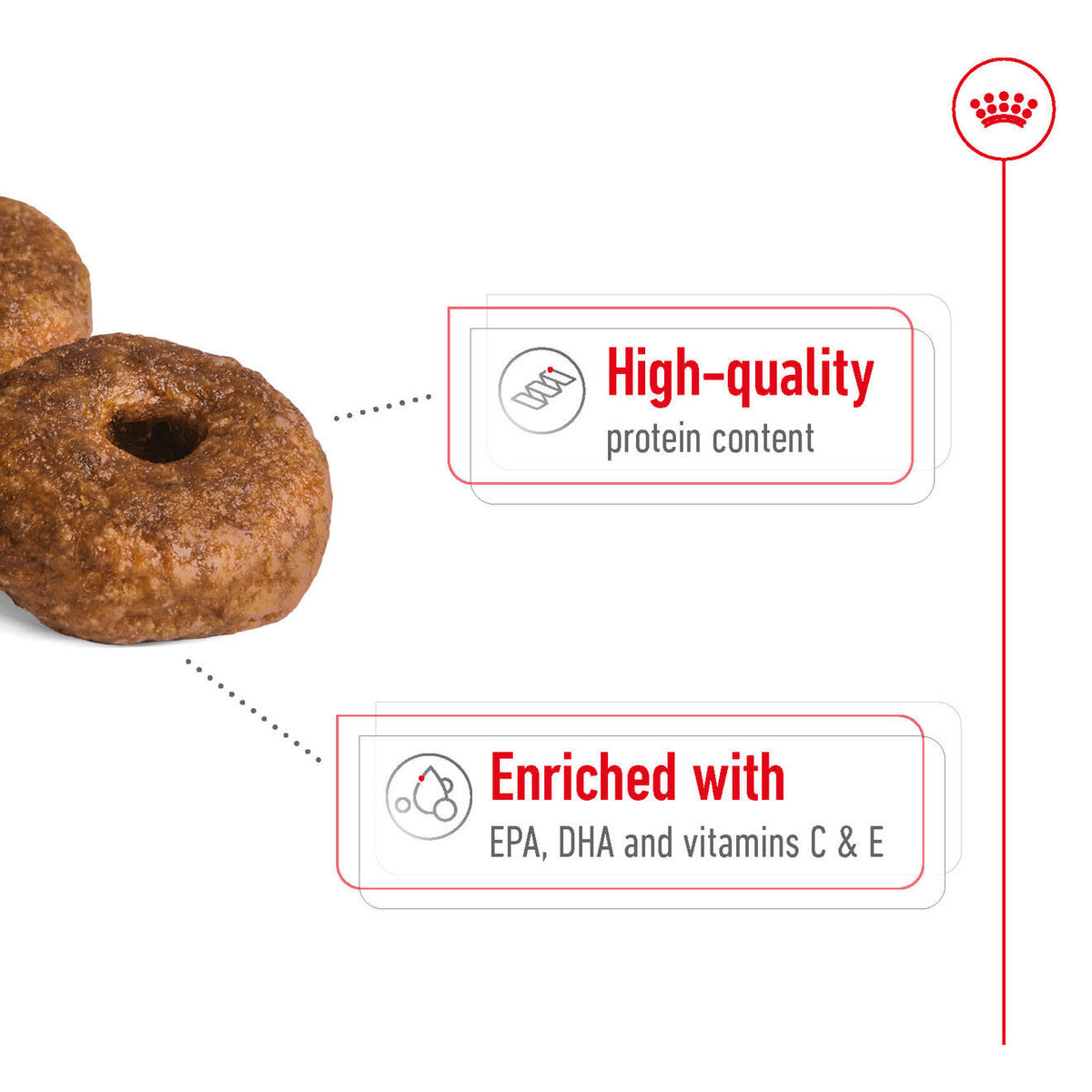 Royal Canin Medium Ageing 10+ Dry Dog Food