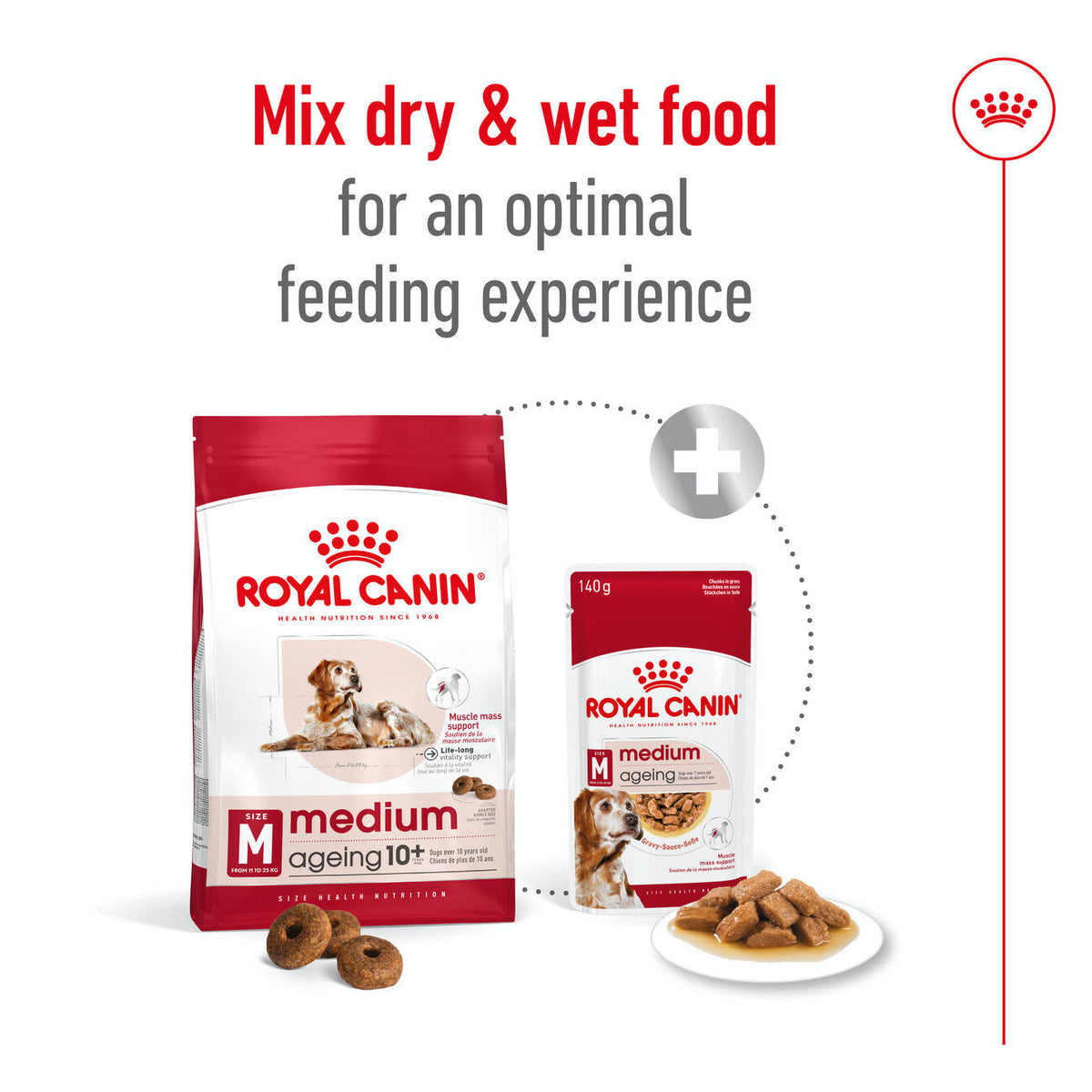 Royal Canin Medium Ageing 10+ Dry Dog Food