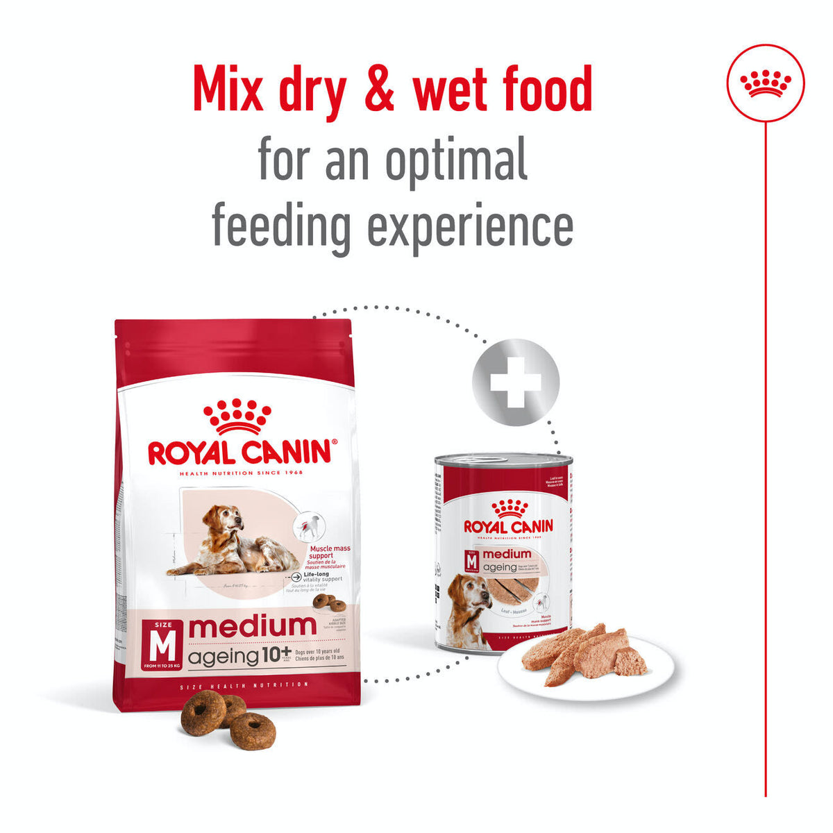 Royal Canin Medium Ageing 10+ Dry Dog Food