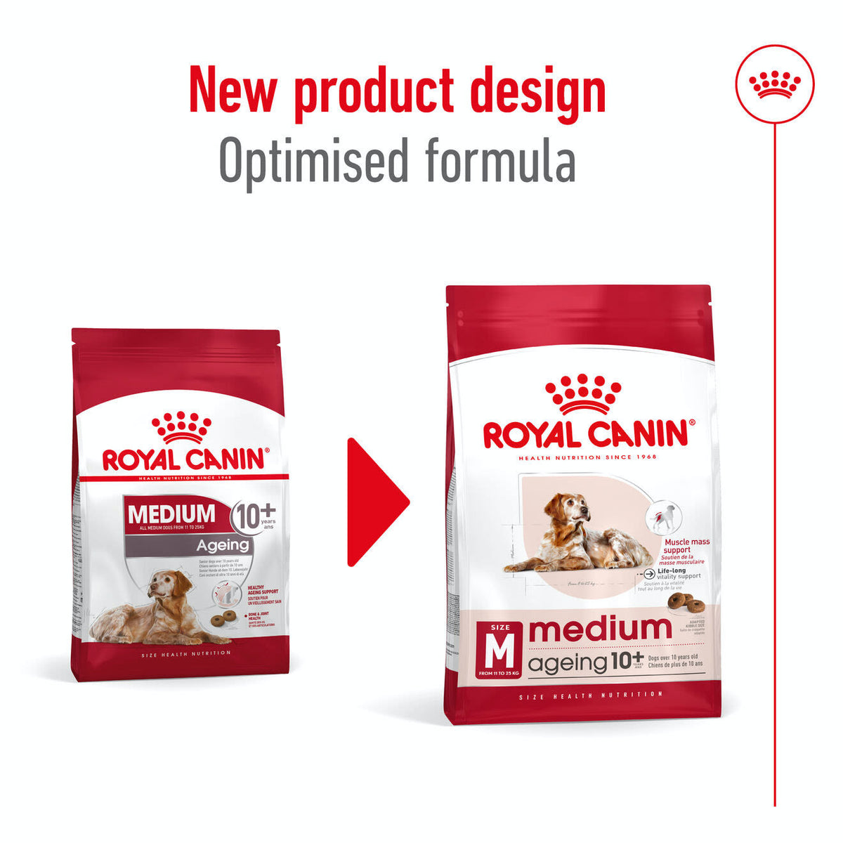 Royal Canin Medium Ageing 10+ Dry Dog Food