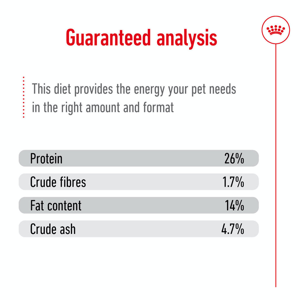 Royal Canin Medium Ageing 10+ Dry Dog Food