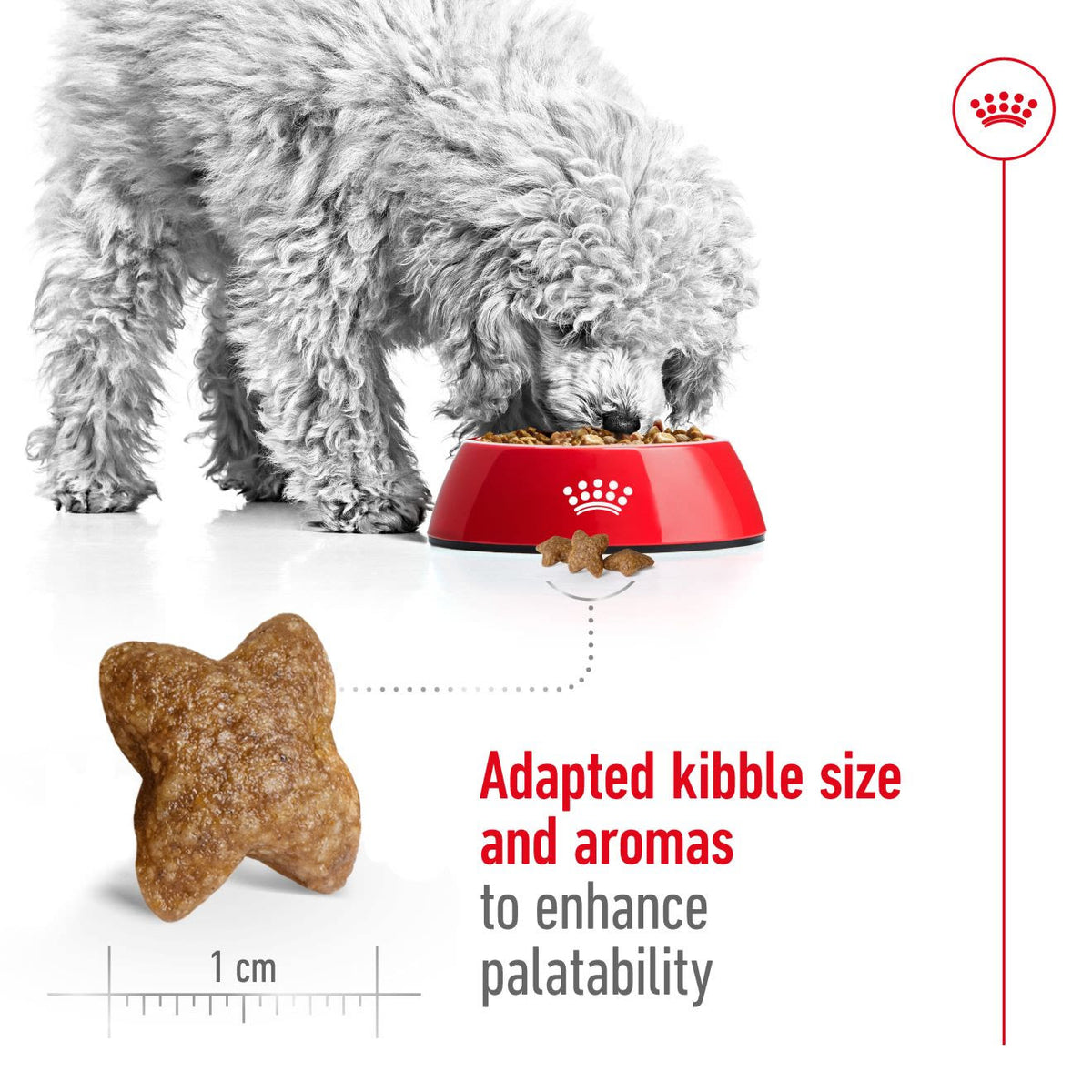 Royal Canin Mini Adult Dry Dog Food