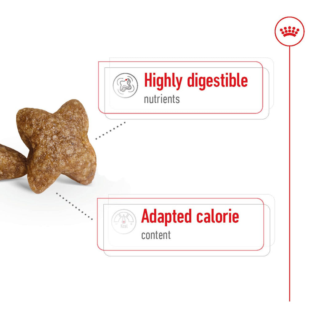 Royal Canin Mini Adult Dry Dog Food