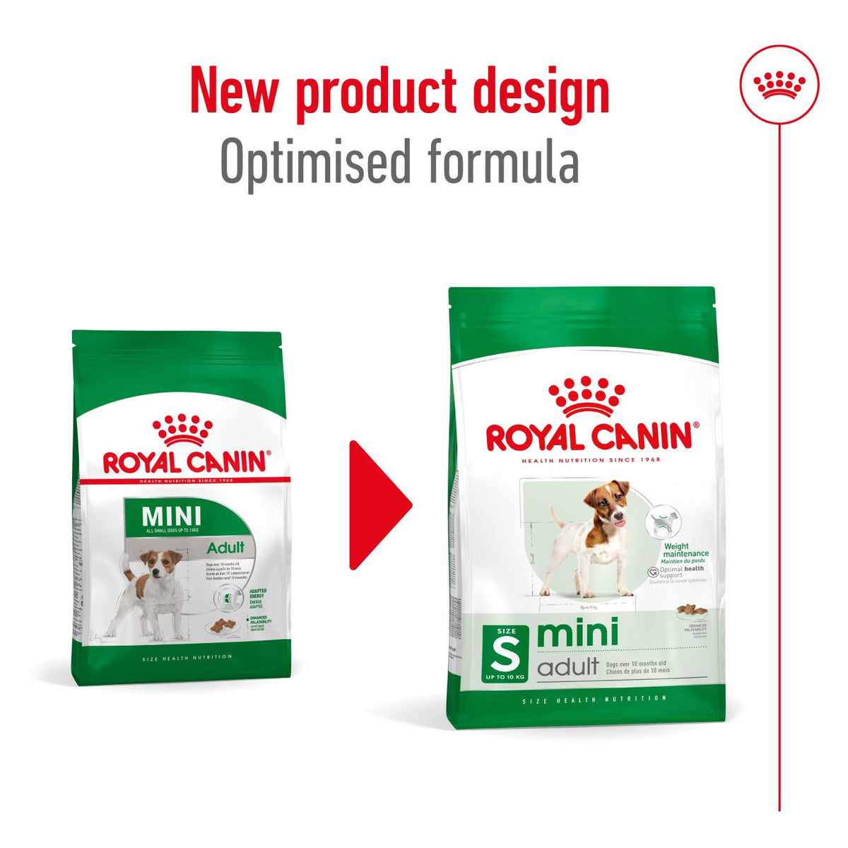 Royal Canin Mini Adult Dry Dog Food