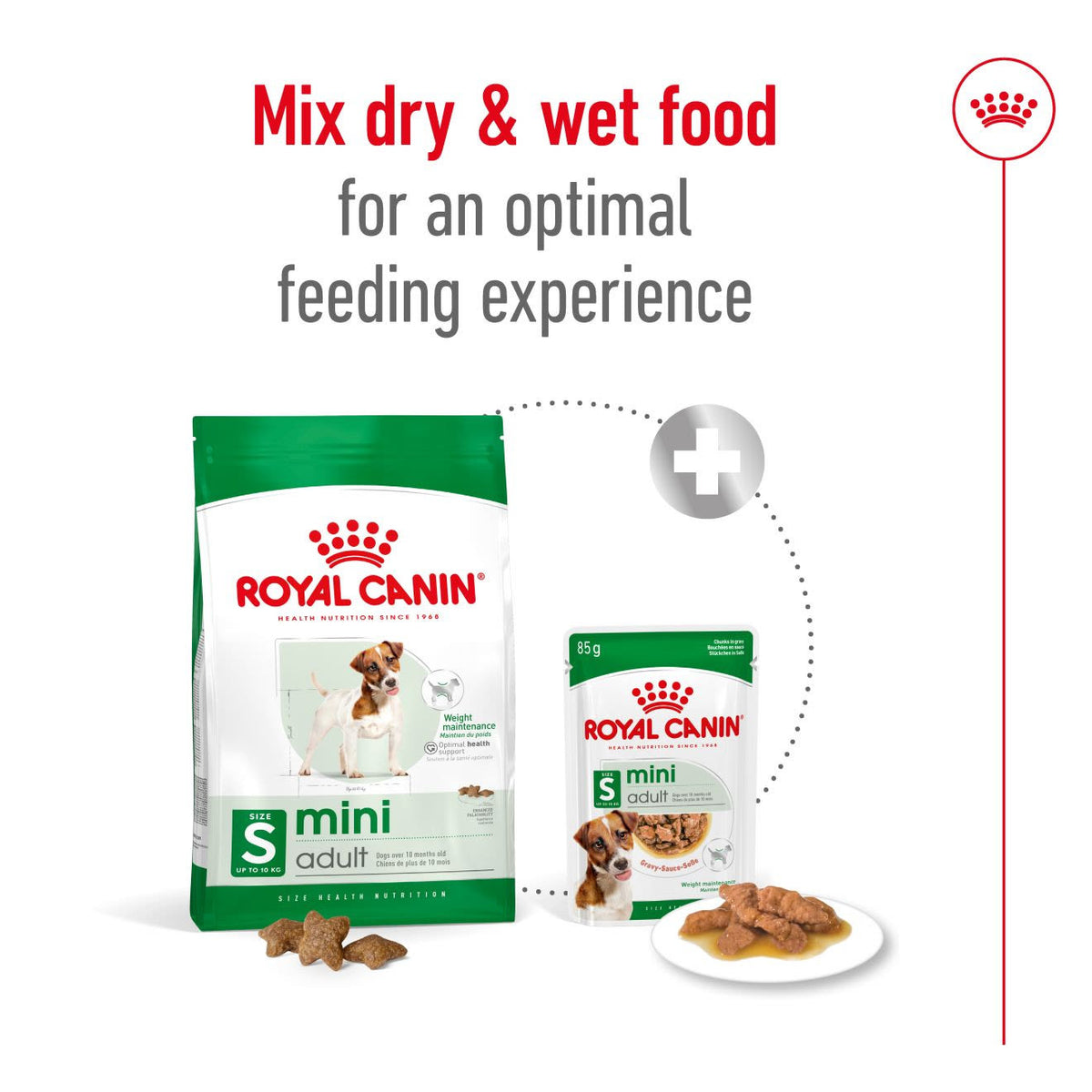 Royal Canin Mini Adult Dry Dog Food