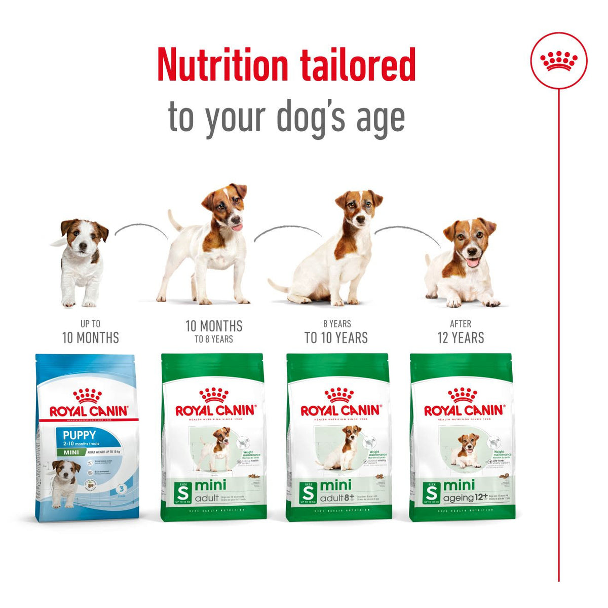 Royal Canin Mini Adult Dry Dog Food
