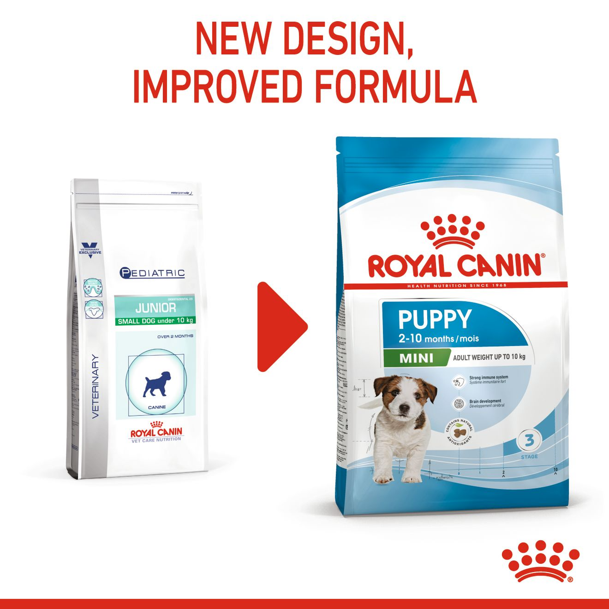 Royal Canin Mini Puppy Dry Dog Food