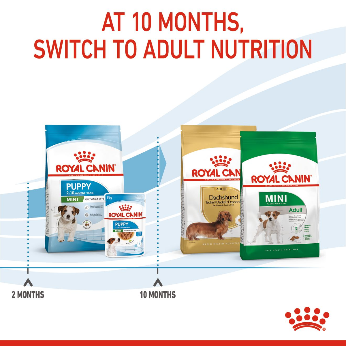 Royal Canin Mini Puppy Dry Dog Food