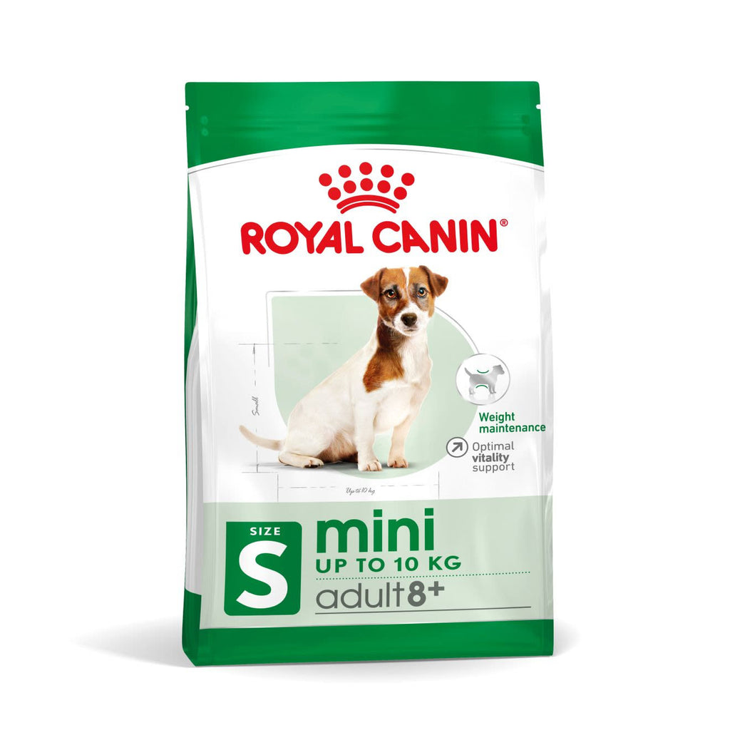 Royal Canin mini Adult 8+ Dry Dog Food