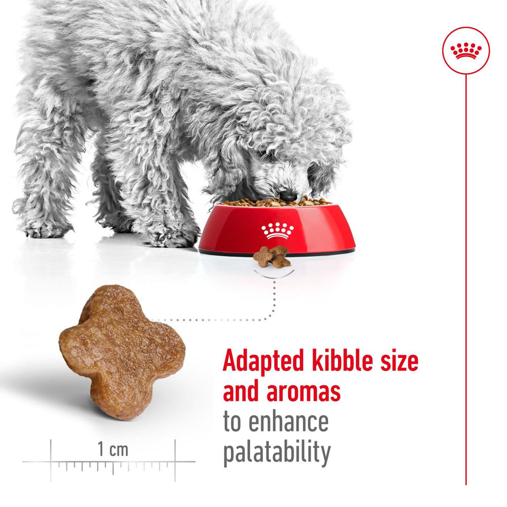 Royal Canin mini Adult 8+ Dry Dog Food