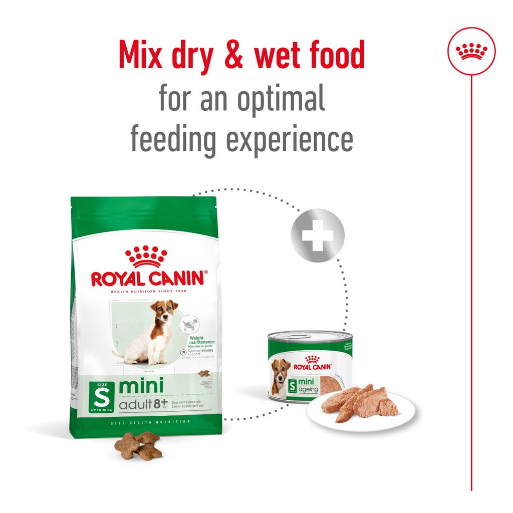 Royal Canin mini Adult 8+ Dry Dog Food
