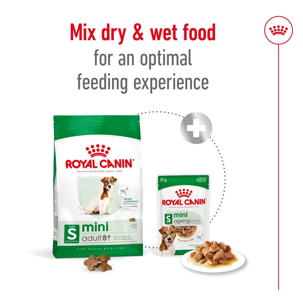 Royal Canin mini Adult 8+ Dry Dog Food