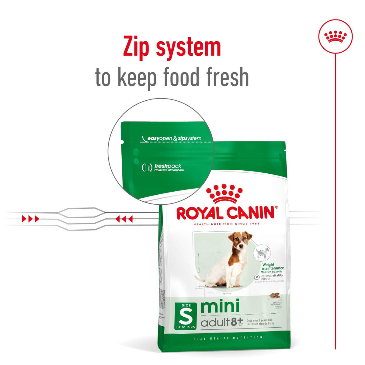 Royal Canin mini Adult 8+ Dry Dog Food